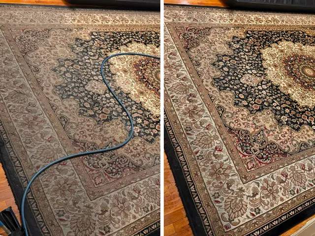 Los Angeles Carpet Cleaning — photo from the business 3