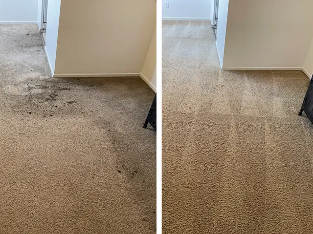 Los Angeles Carpet Cleaning — photo from the business 2