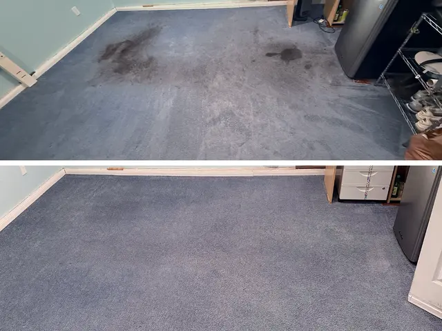 Los Angeles Carpet Cleaning — photo from the business 7