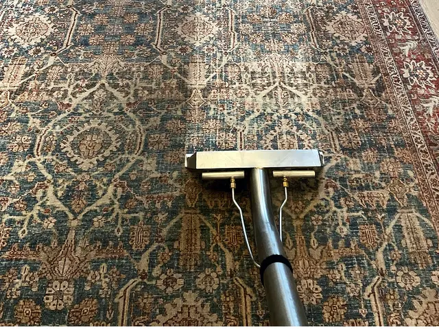 Los Angeles Carpet Cleaning — photo from the business 10
