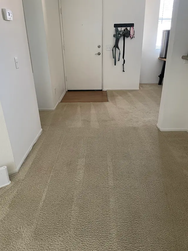 Zerorez — customer photo 1