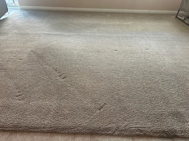 Customer photo from Liz's review