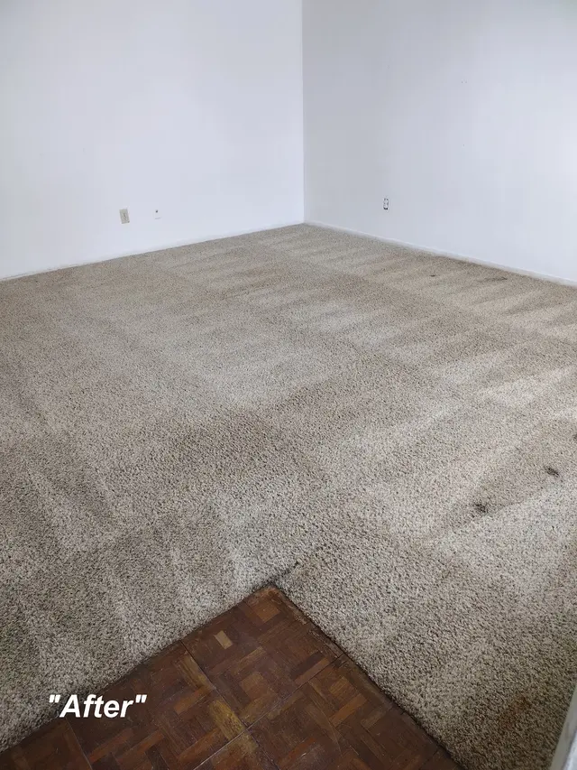 Los Angeles Kwik Dry Total Cleaning — photo from the business 2