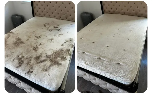 Local Cleaning Services upholstery & carpet — photo from the business 12