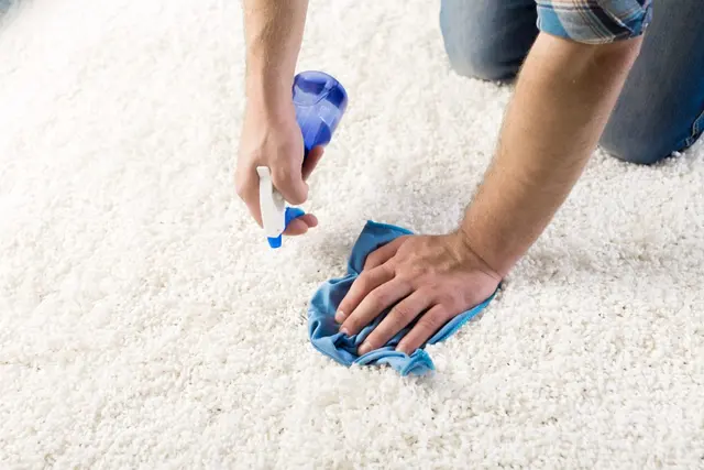 GTS FUTURE CLEANING SERVICES — photo from the business 12