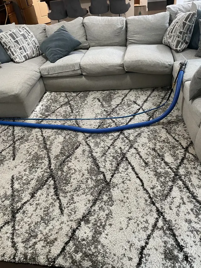 GTS FUTURE CLEANING SERVICES — photo from the business 11