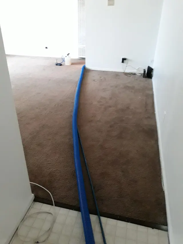 Sunset QCS Flooring -Cleaning services — customer photo 6