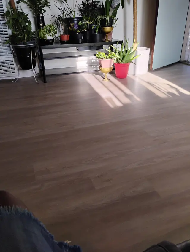 Sunset QCS Flooring -Cleaning services — customer photo 8