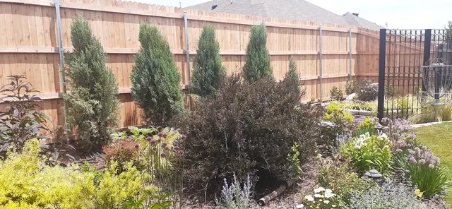 Customer photo of work by Full Swing Gate Company, from Neil's review