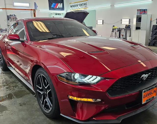 Show Room Auto Tinting - Car Detailing, Ceramic Coating, & PPF — photo from the business 7