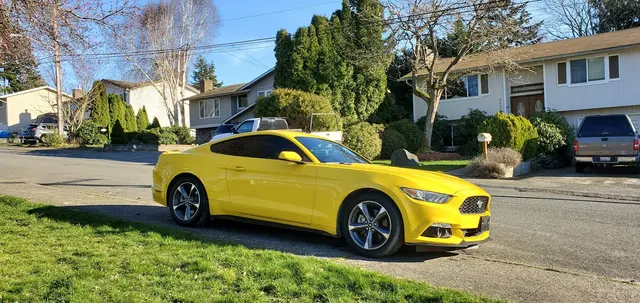 Magnatech Autoglass — customer photo 5