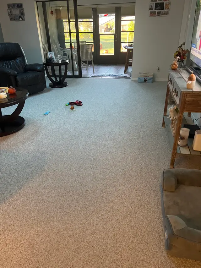 Dun-Rite Carpet & Tile Cleaning — customer photo 3