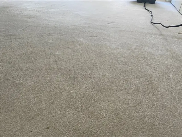 Accurate Carpet & Tile Cleaning — customer photo 7