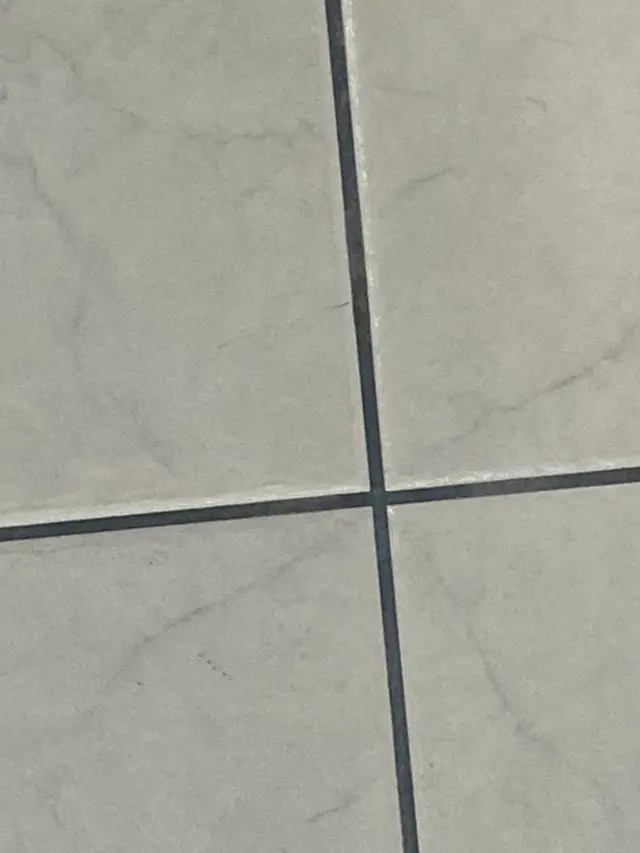 Accurate Carpet & Tile Cleaning — customer photo 12