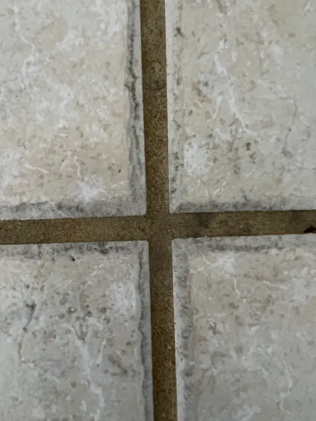 All Floors Clean LLC — photo from the business 8