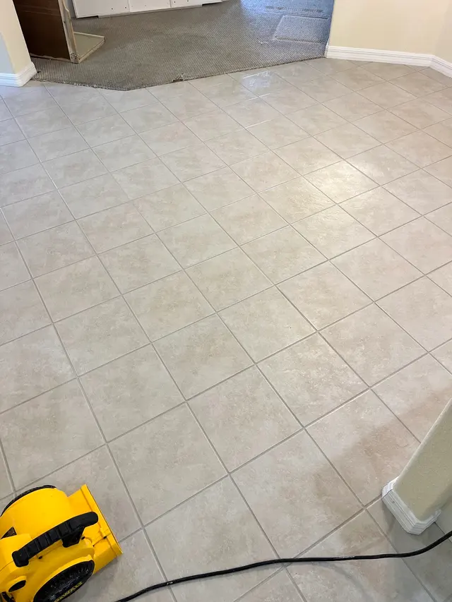 All Floors Clean LLC — photo from the business 1