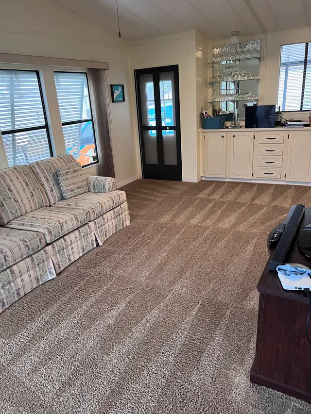 Team Us Carpet Care — photo from the business 11