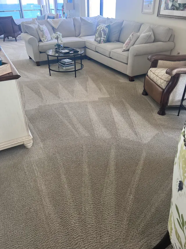 Team Us Carpet Care — photo from the business 12