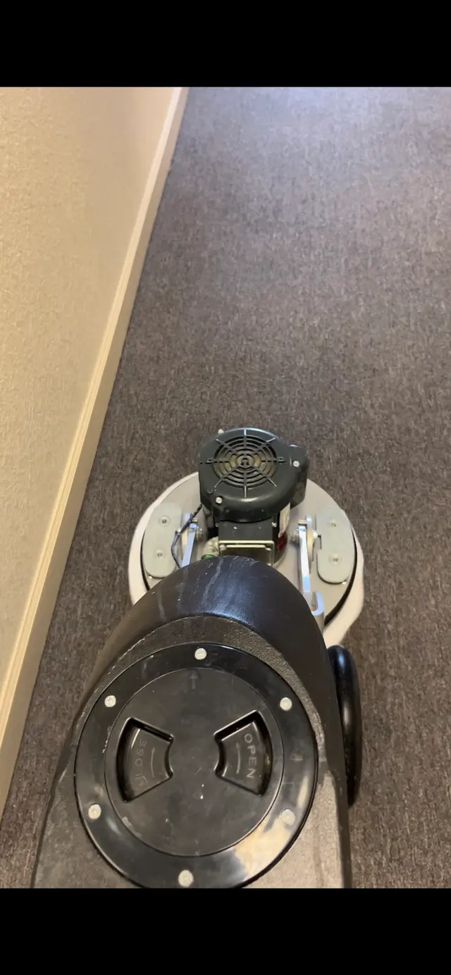 Team Us Carpet Care — photo from the business 7