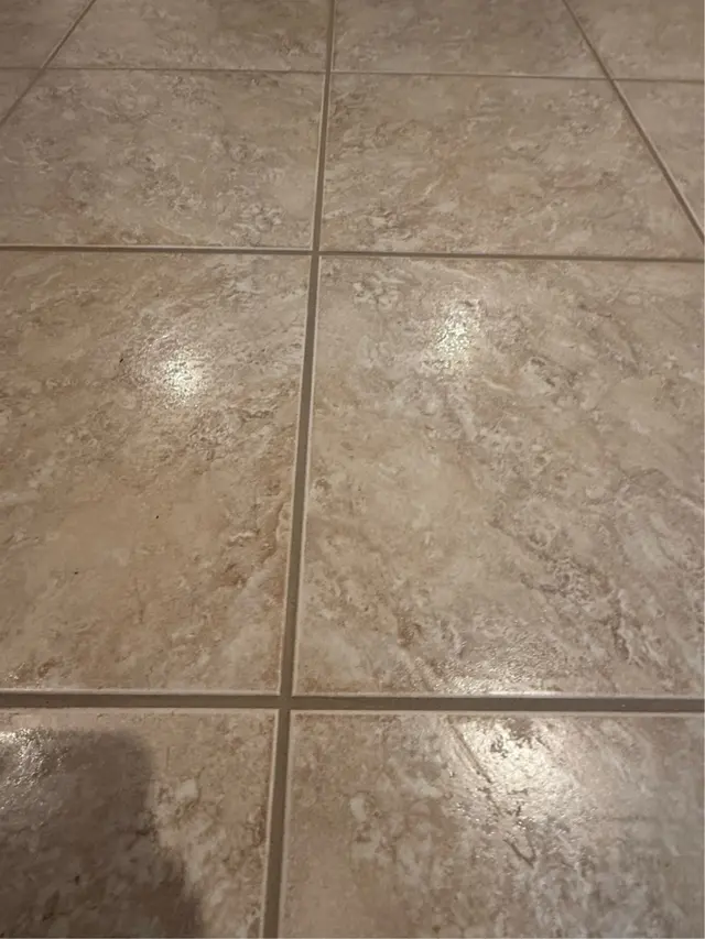 Customer photo of work by Green Grout Sarasota, from Greta Mishelevich's review