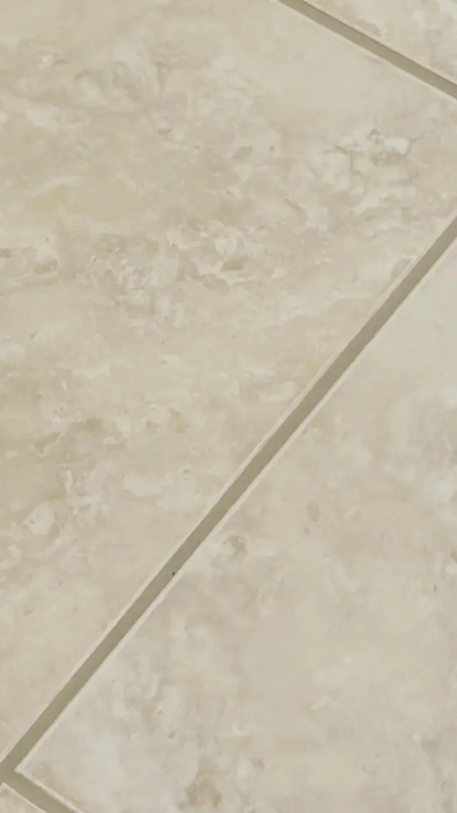 Customer photo of work by Green Grout Sarasota, from Greta Mishelevich's review