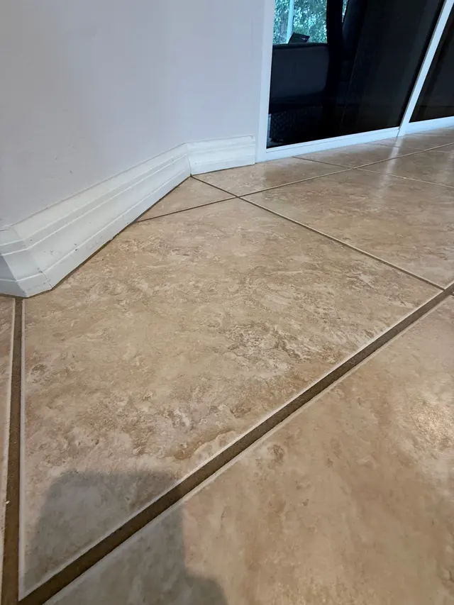 Customer photo of work by Green Grout Sarasota, from Greta Mishelevich's review