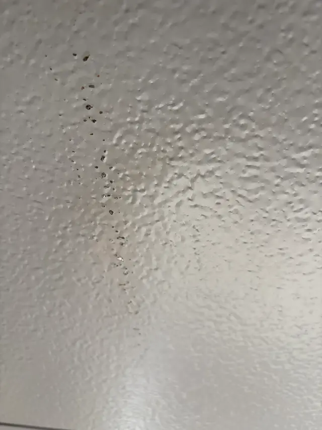 Customer photo from Scott's review