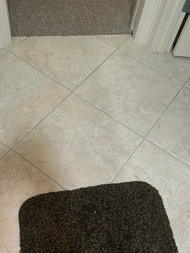 Dan Dan The Carpet Man — customer photo 5