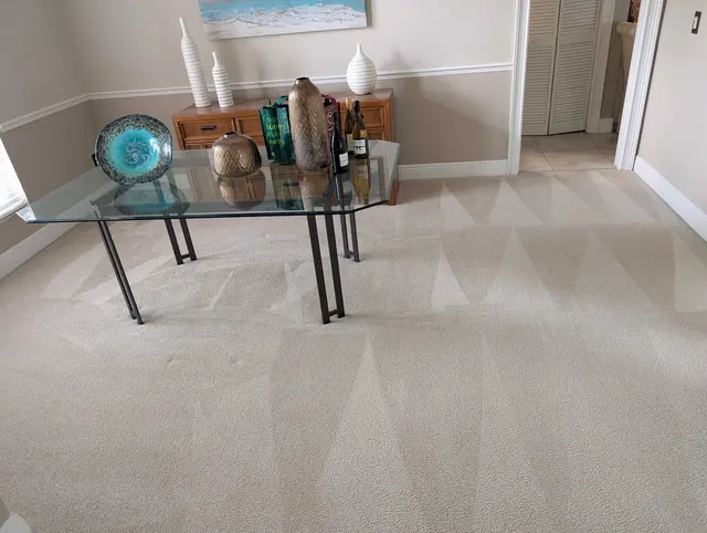Dan Dan The Carpet Man — photo from the business 2