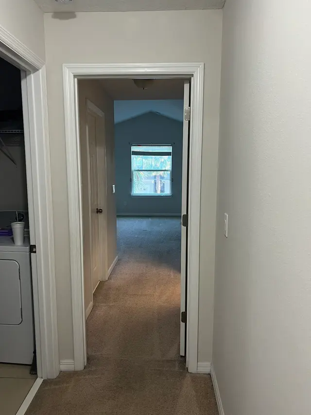 Dan Dan The Carpet Man — customer photo 11