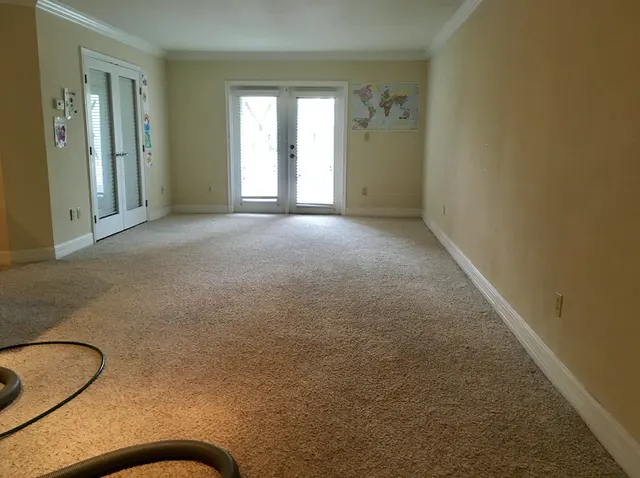 Evolution Deep Clean — customer photo 9