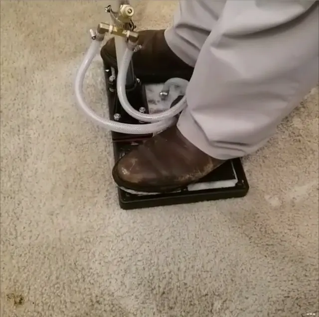 Evolution Deep Clean — photo from the business 11