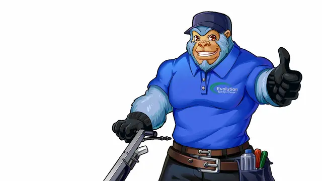 Evolution Deep Clean — photo from the business 2