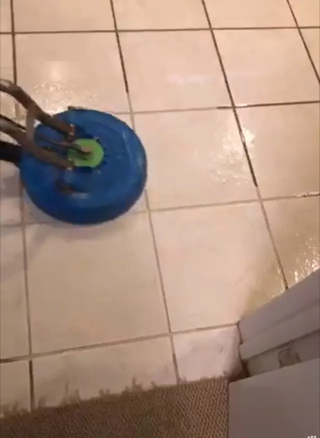Evolution Deep Clean — photo from the business 8