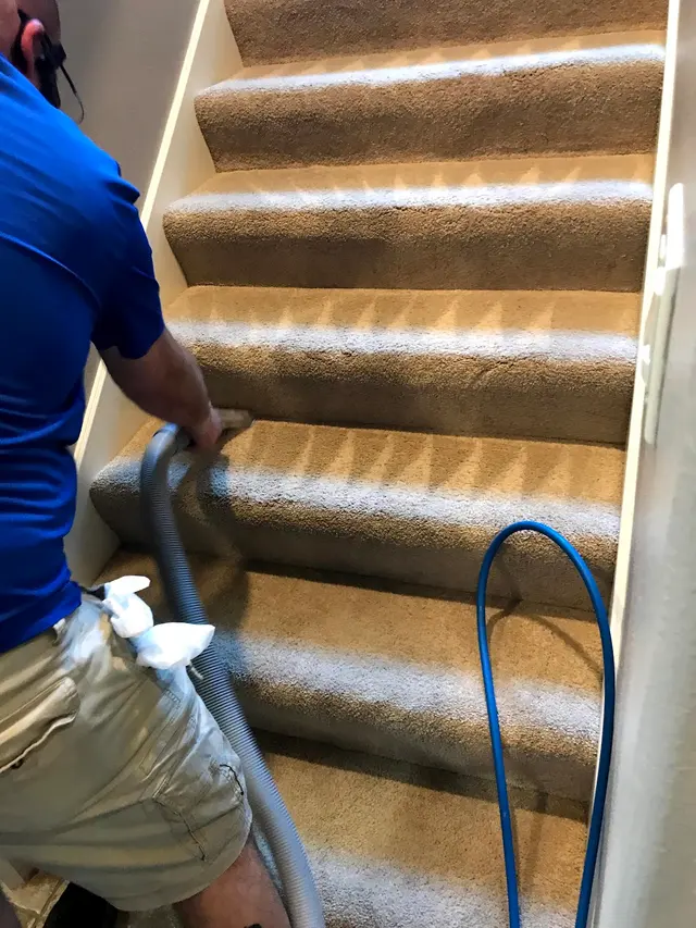 Evolution Deep Clean — photo from the business 5