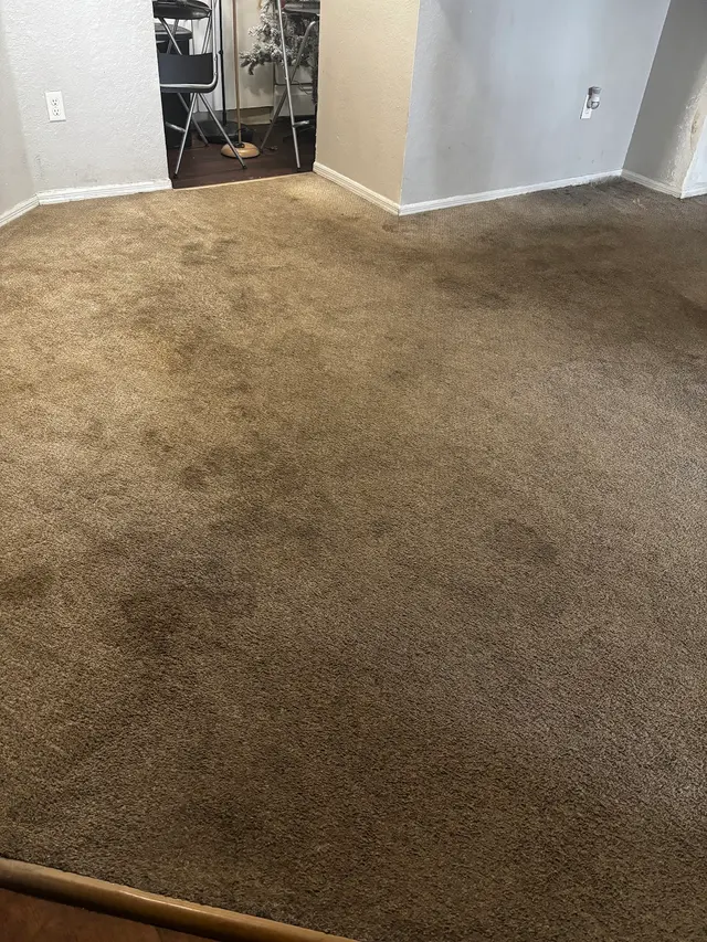 Toucan Cleaning Services — customer photo 12
