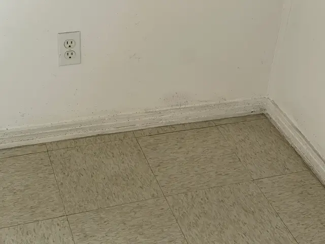 Toucan Cleaning Services — customer photo 6