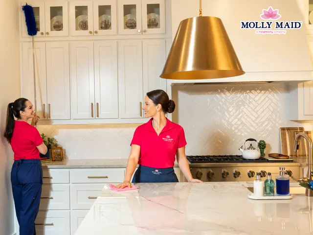 MOLLY MAID of Orlando and Seminole County — photo from the business 4