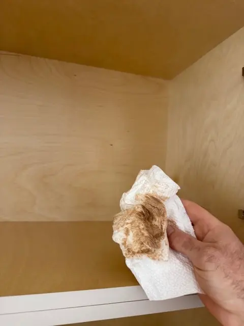 Customer photo from Alex's review