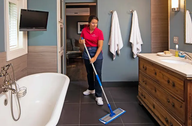 MOLLY MAID of Orlando and Seminole County — photo from the business 9