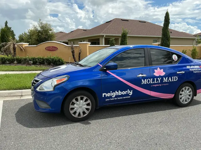 MOLLY MAID of Orlando and Seminole County — photo from the business 3