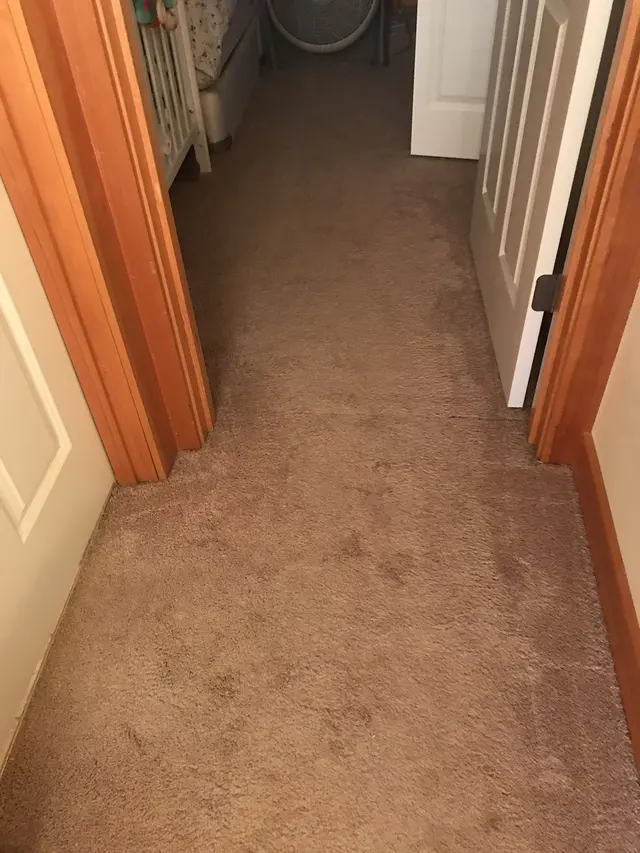 Ruby Red Cleaning — customer photo 8