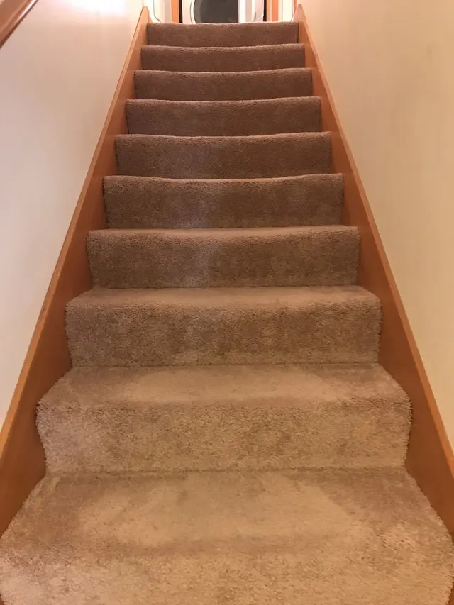 Ruby Red Cleaning — customer photo 9