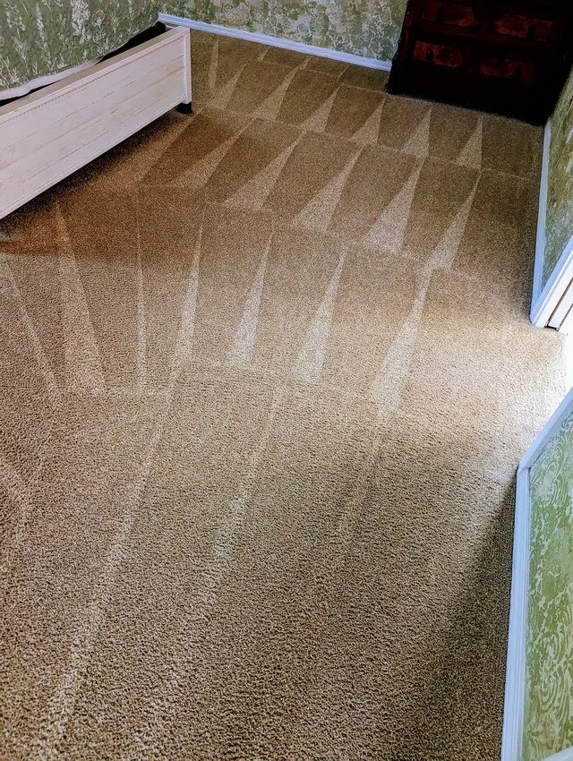 5 Stones Carpet Cleaning — customer photo 7