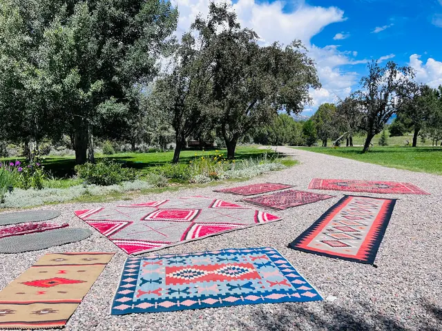One World Rug Care | Area Rug Cleaning & Textile Care Specialist — photo from the business 10