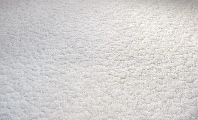 Albuquerque Carpet Care — photo from the business 1