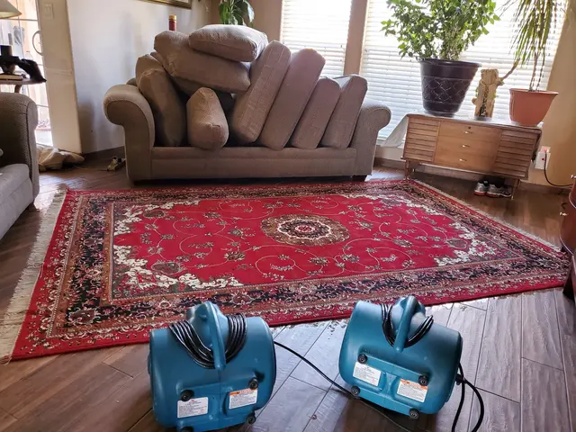 Albuquerque Carpet Care — photo from the business 6