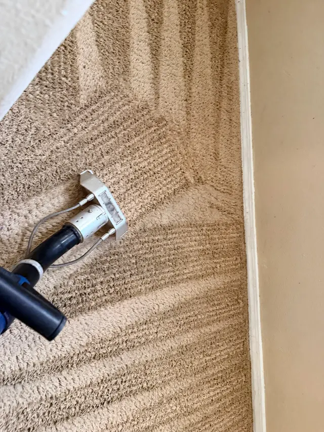 KD Carpet Cleaning — photo from the business 7