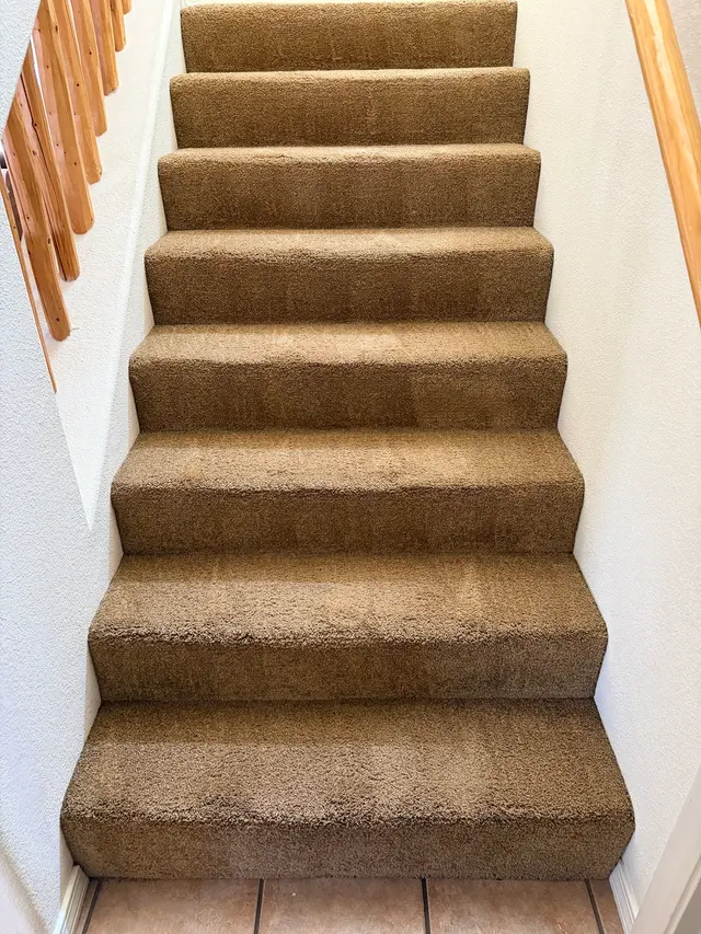 KD Carpet Cleaning — customer photo 12