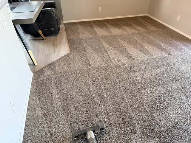 KD Carpet Cleaning — photo from the business 3